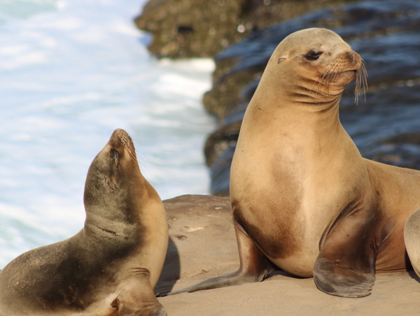 Galapagos Island Hopping 6 days