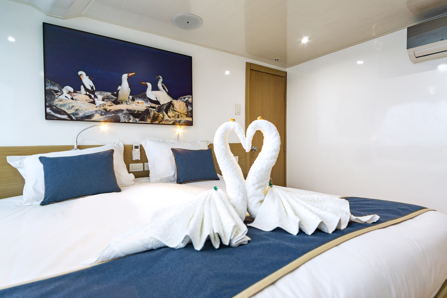 double-cabin-1 Calipso Yacht