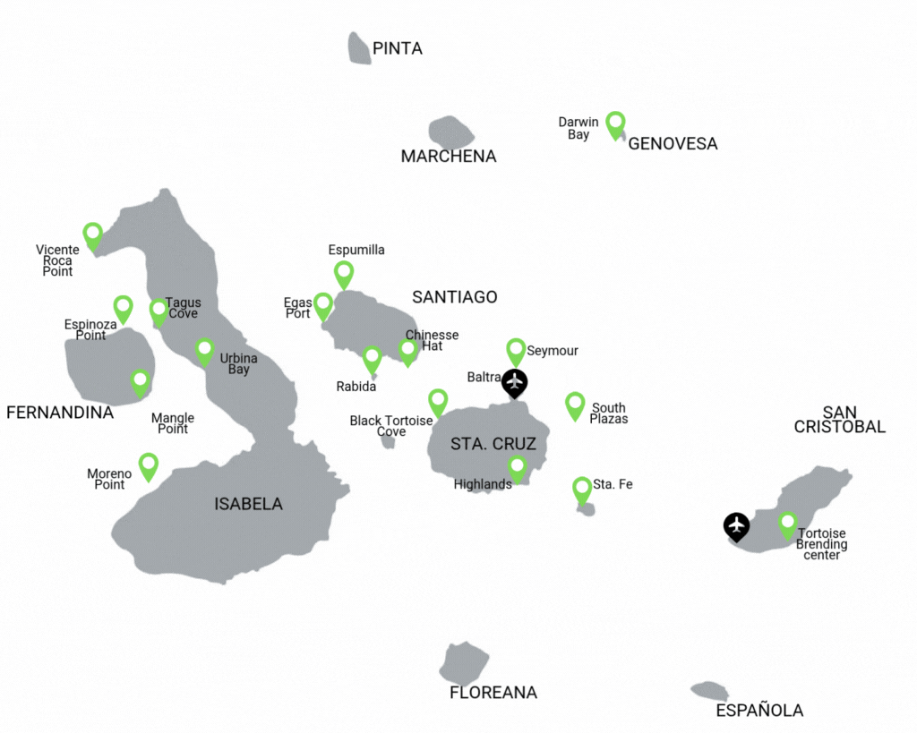Seaman Itinerario D Seaman Itinerario D