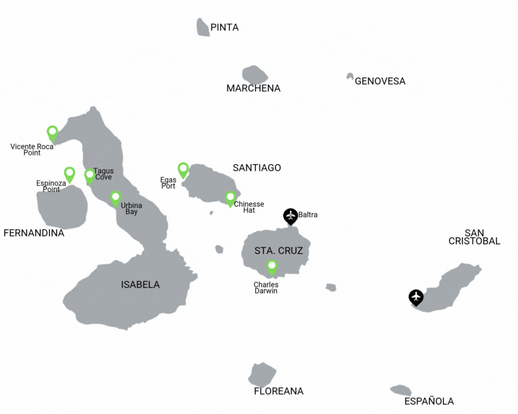 Golondrina Itinerario B Golondrina Itinerario B
