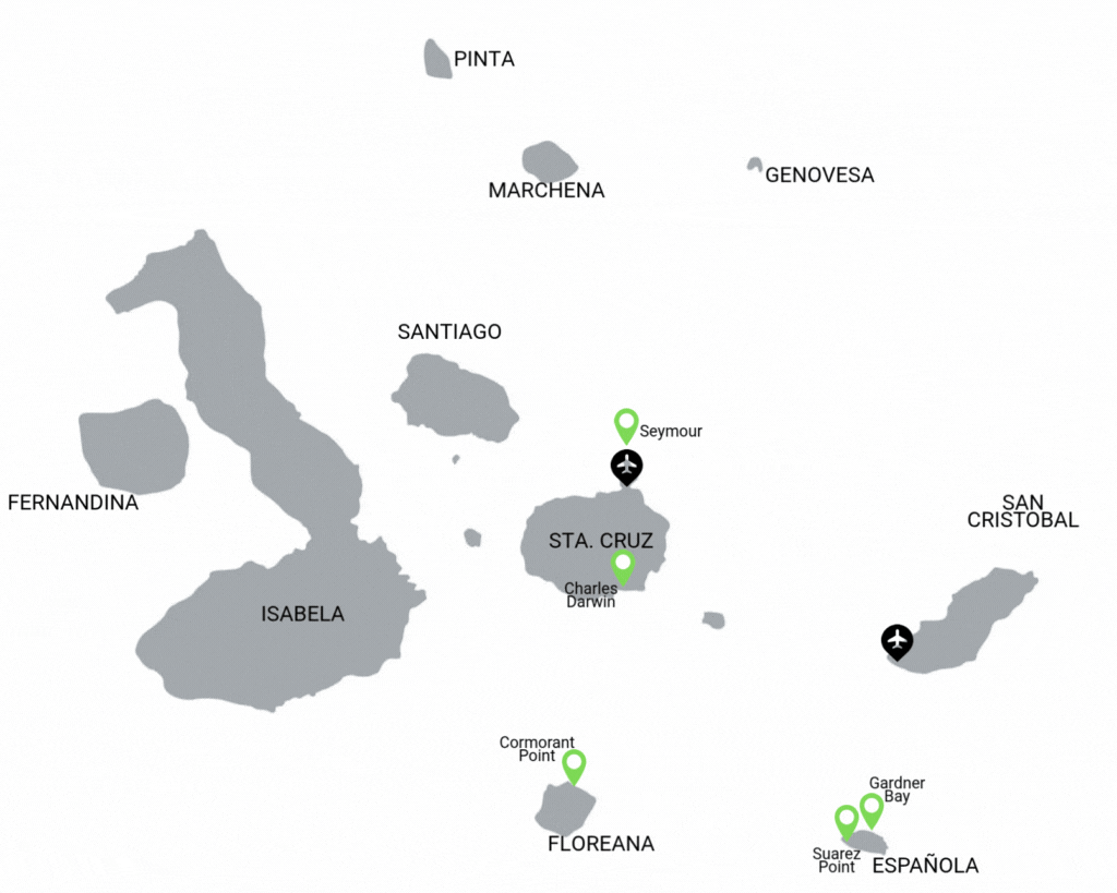 Golondrina Itinerario C4 Golondrina Itinerario C4