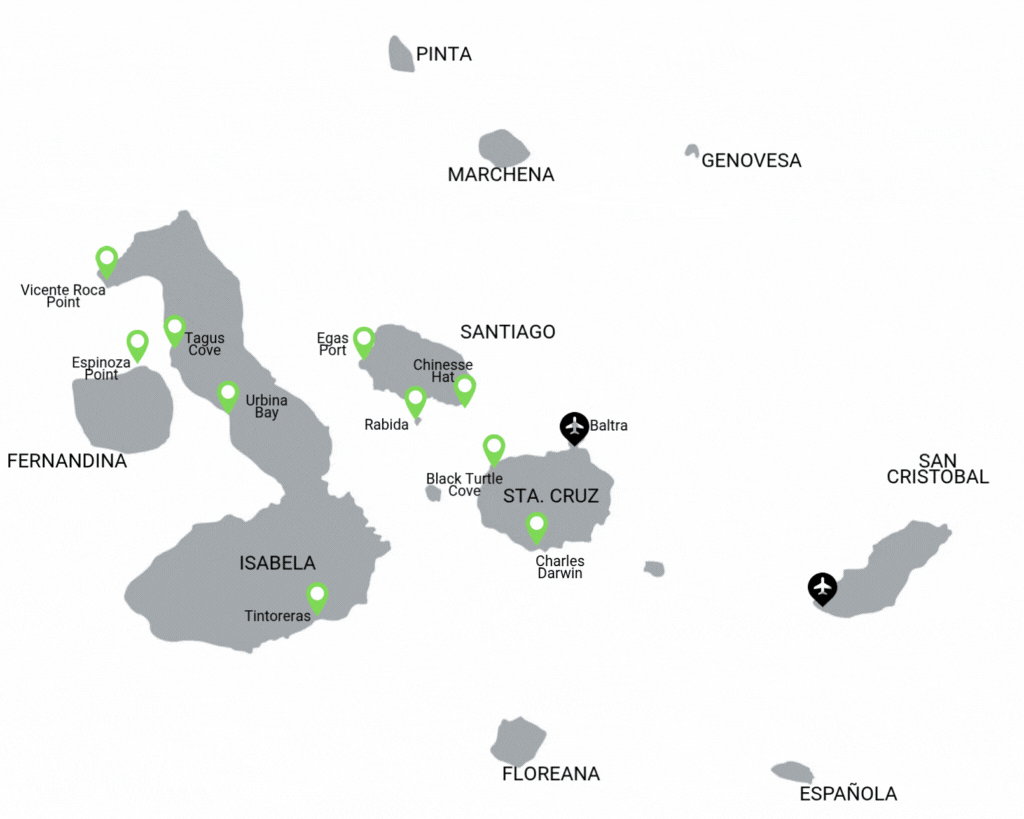 Golondrina Itinerario D Golondrina Itinerario D