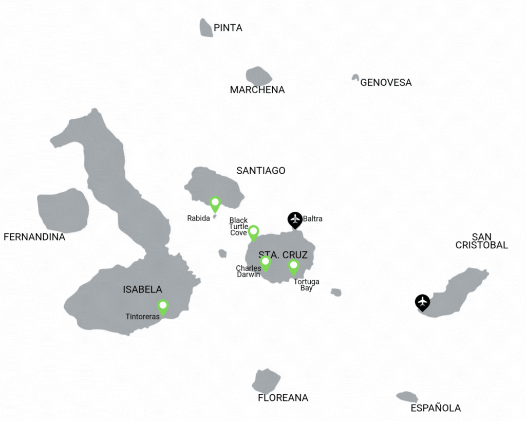 Golondrina Itinerario H Golondrina Itinerario H