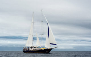 beagle06 Eden Yacht