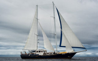 beagle08 Eden Yacht
