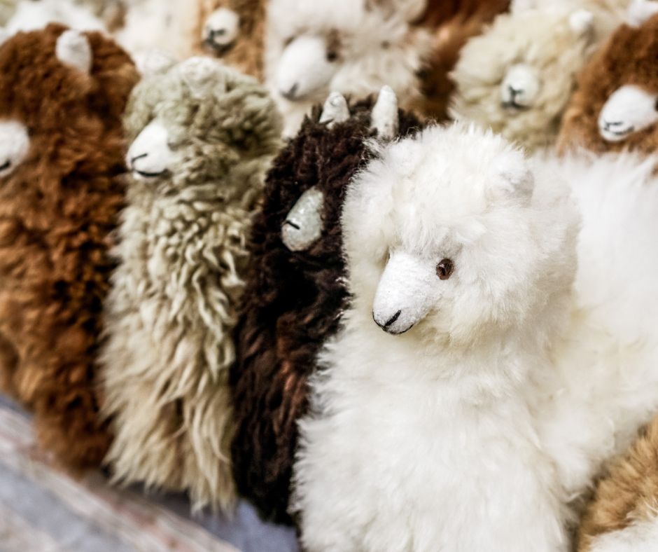 plaza de los ponchos otavalo plaza de los ponchos otavalo