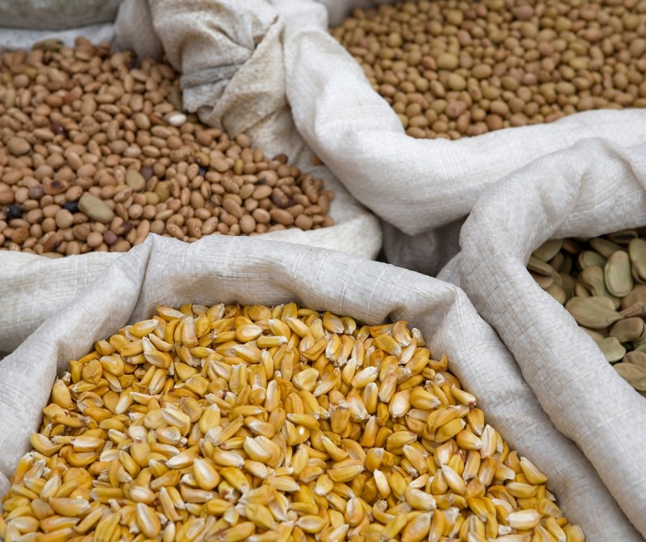 seeds otavalo market