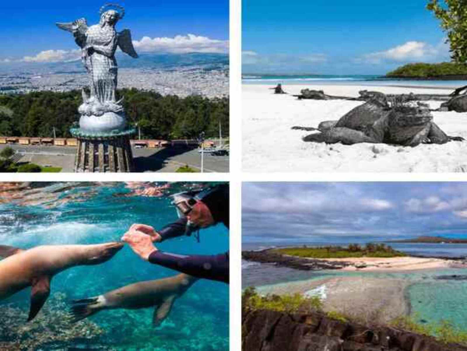 Galapagos Tour Packages 15 days