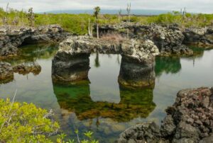 vacation-packages-galapagos-islands-isabela vacation packages galapagos islands isabela