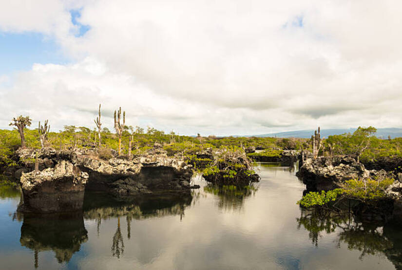galapagos-island-vacation-tunnels galapagos island vacation tunnels