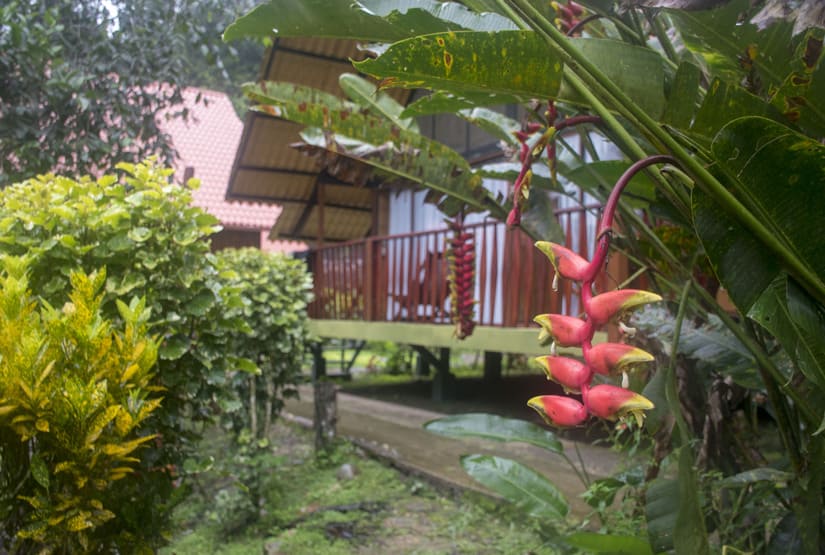 yakuma-ecolodge-garden yakuma ecolodge garden