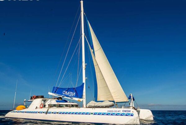 Nemo I Catamaran last minute