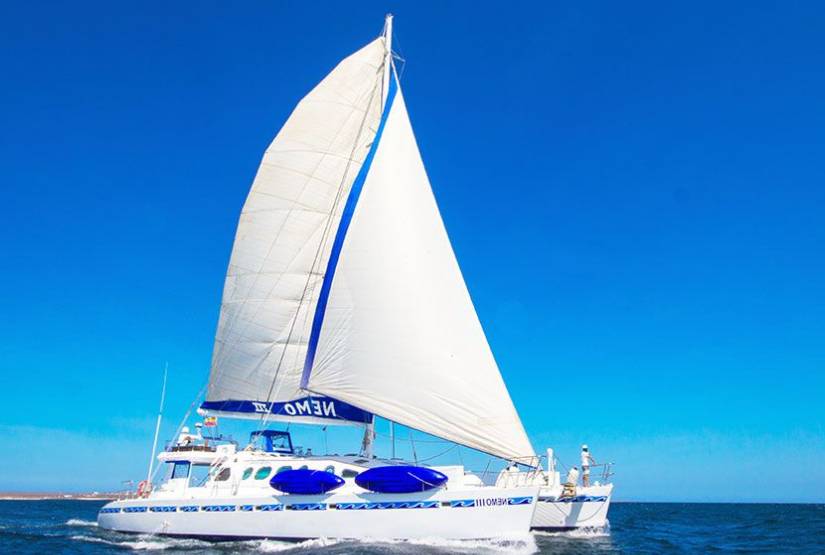 Nemo III Catamaran last minute