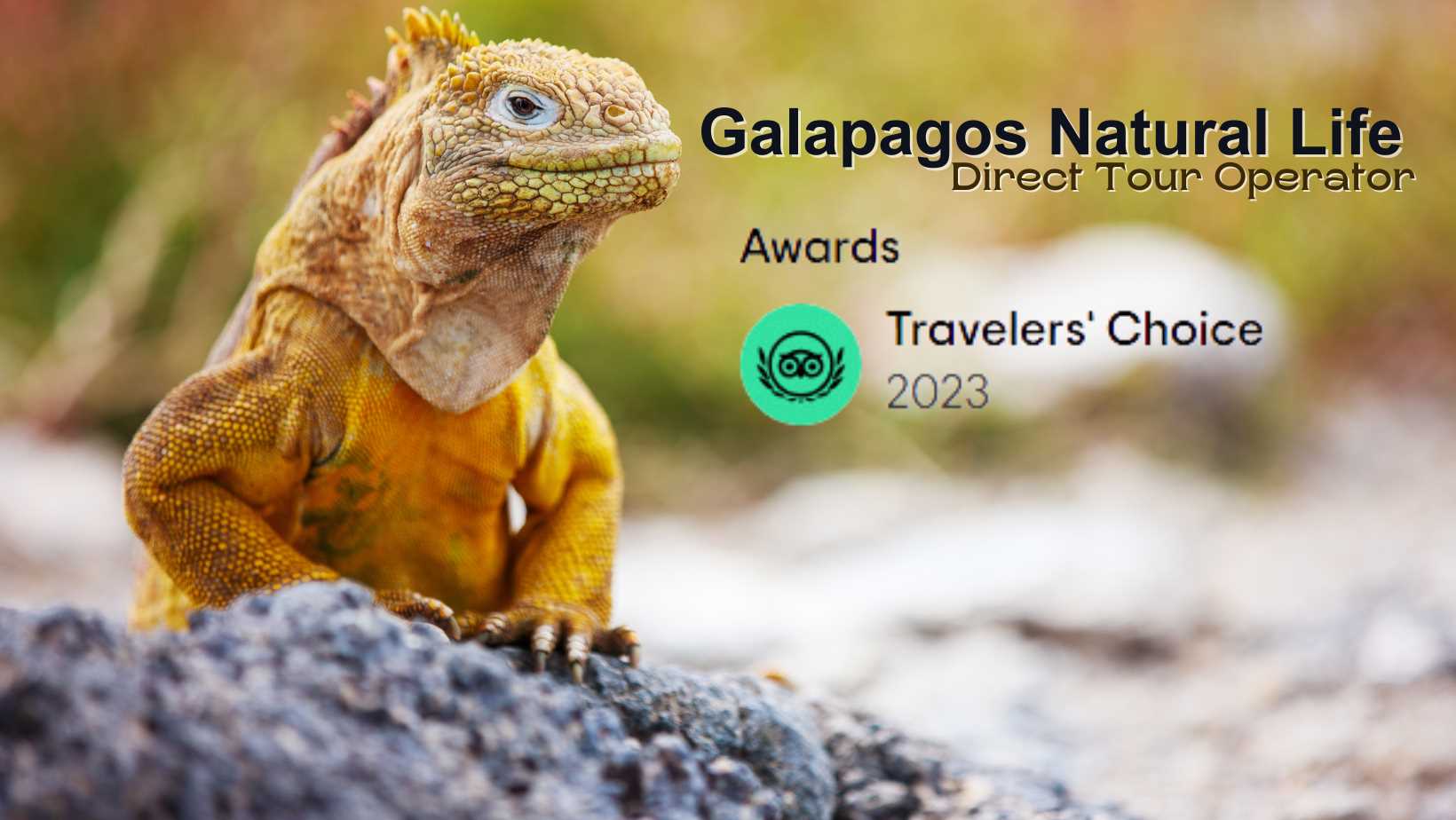 Ecuador and Galapagos Tour