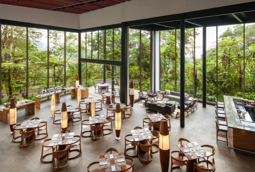 mashpi-lodge-restaurant mashpi lodge restaurant