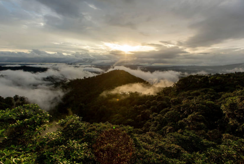 mashpi lodge sunrise view