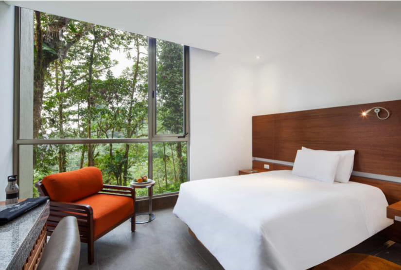 wayra single room mashpi