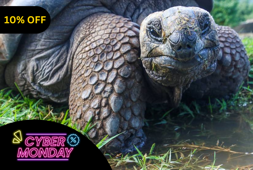 cyber monday 5 days galapagos last minute
