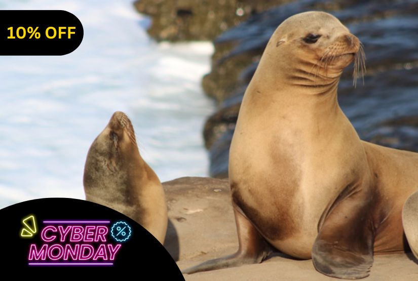 cyber monday 6 days galapagos last minute