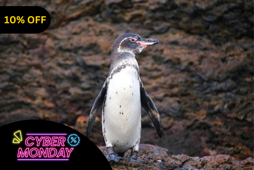 cyber monday 7 days galapagos last minute