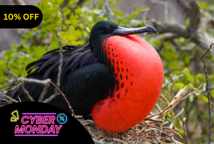 cyber monday 8 days galapagos last minute
