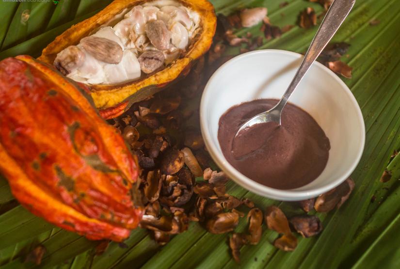 Gaia-Amazon-Lodge-cacao Gaia Amazon Lodge cacao