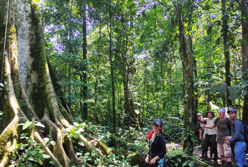 Gaia Amazon Lodge excursions