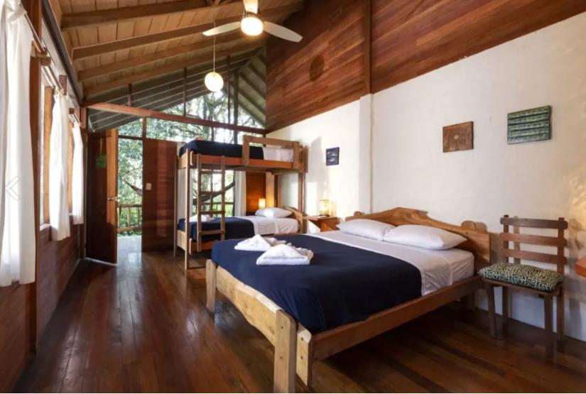 Gaia-Amazon-Lodge-triple-room Gaia Amazon Lodge triple room