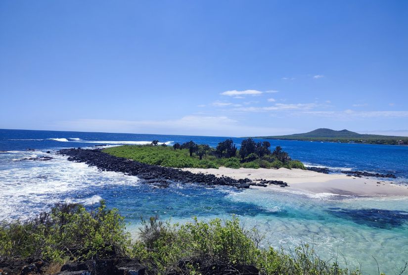 floreana island floreana island