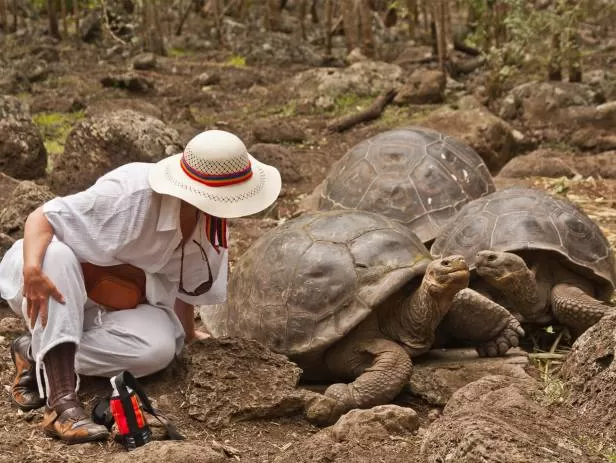 Galapagos Island Hopping 4 days