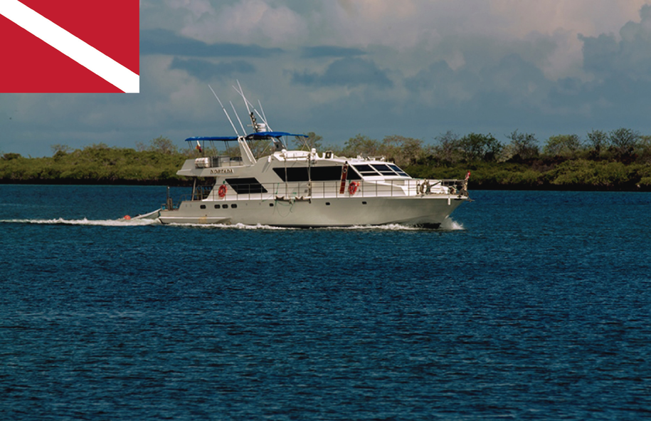 Diving Galapagos
