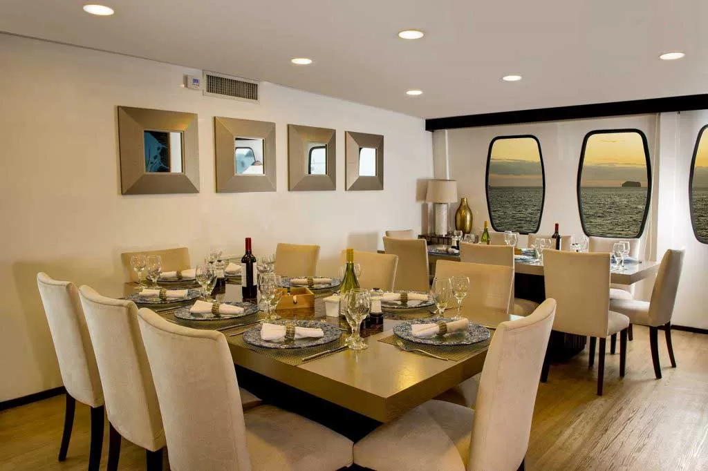 SOCIAL-AREAS4-alya Alya Yacht