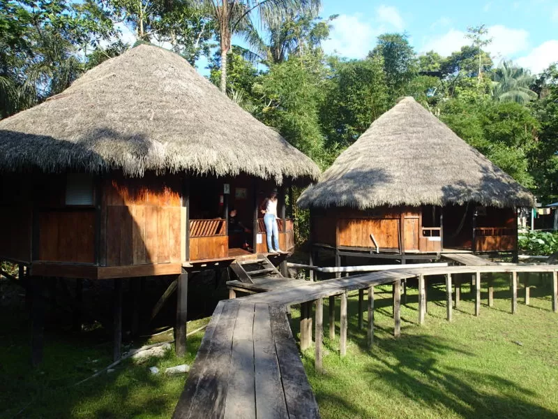 Jungle Tours