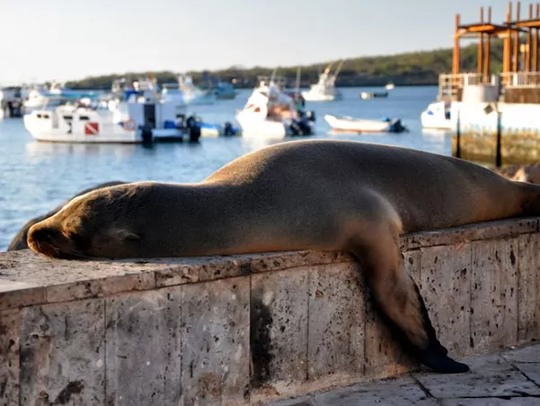 San-Cristobal-Island2 Galapagos Tours