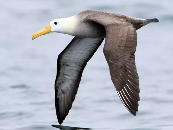 Galapagos Island Hopping 8 days