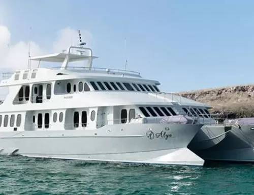 Alya Yacht Galapagos Last Minute