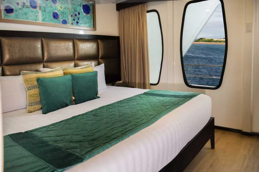 cabin2 alya Alya Yacht