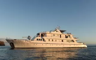 coral1_coral2 HOME Coral I Yacht