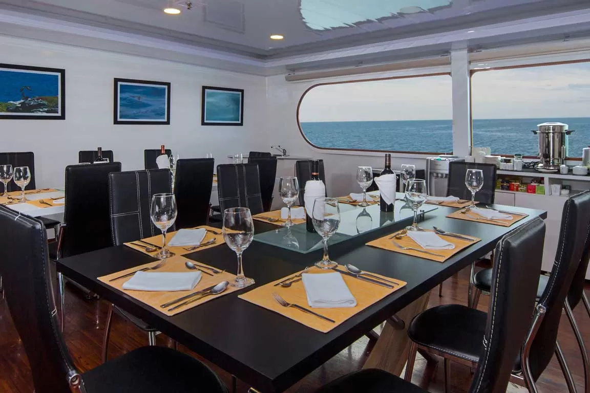 Petrel Catamaran