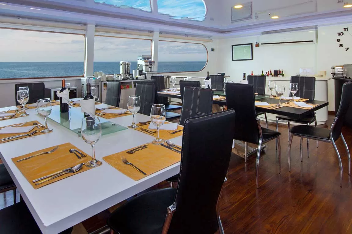 dining-room2 Petrel Catamaran