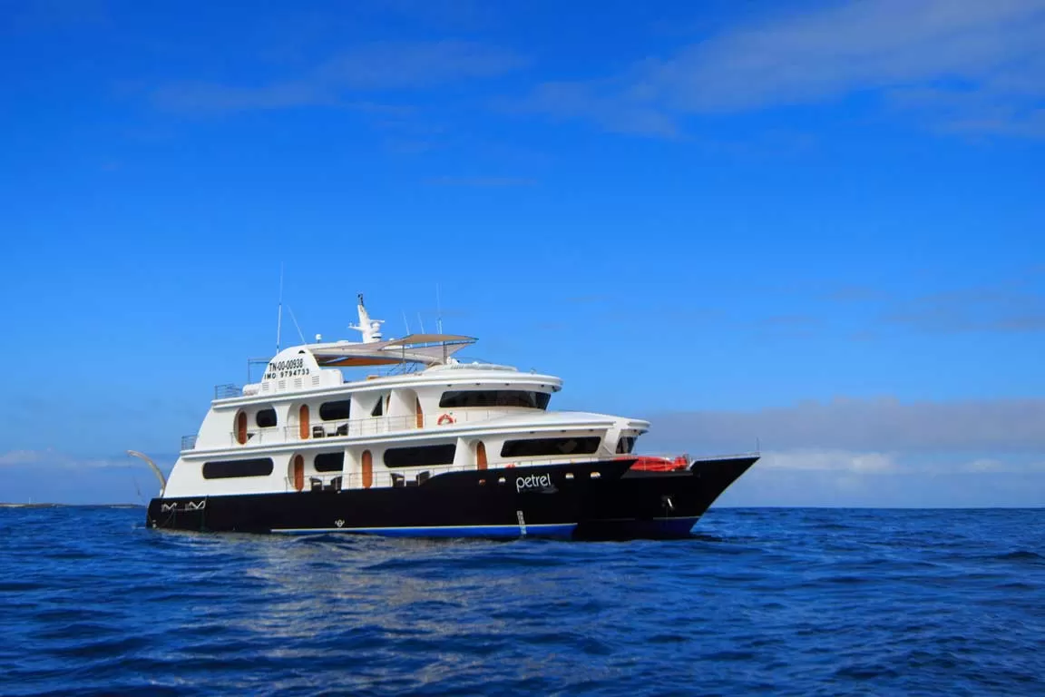 Petrel Catamaran