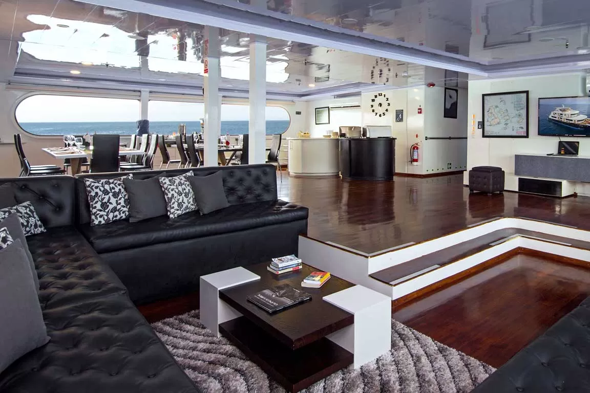 lounge1 Petrel Catamaran