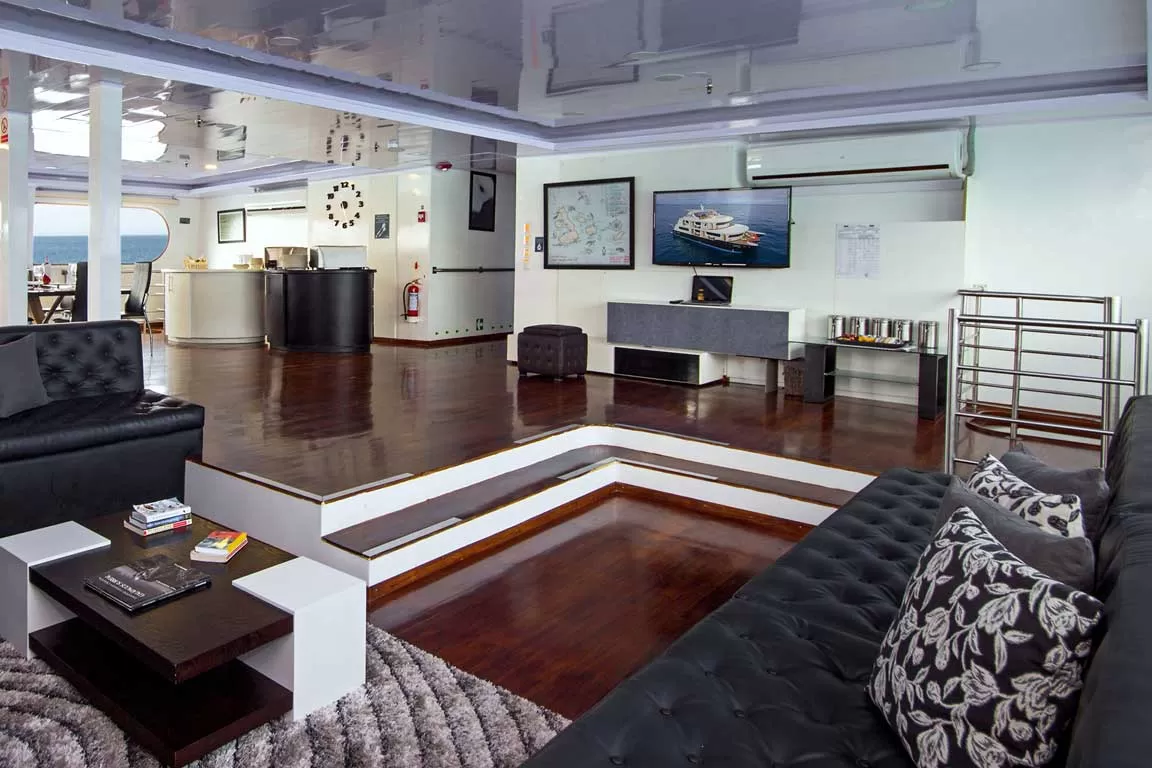 lounge2 Petrel Catamaran