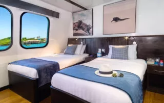 md-stateroom Narural Paradaise