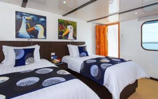 Natural Paradise Jr Suite