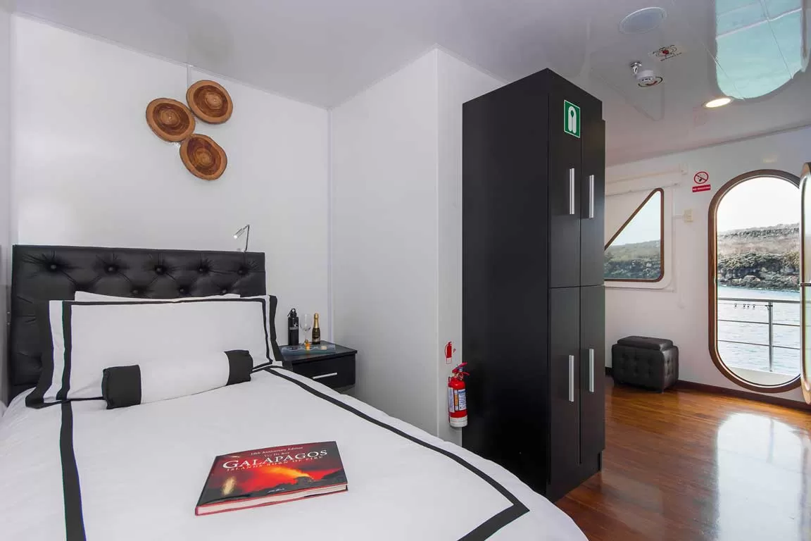 single-cabin1 Petrel Catamaran