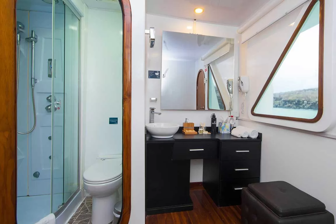 single-cabin2 Petrel Catamaran