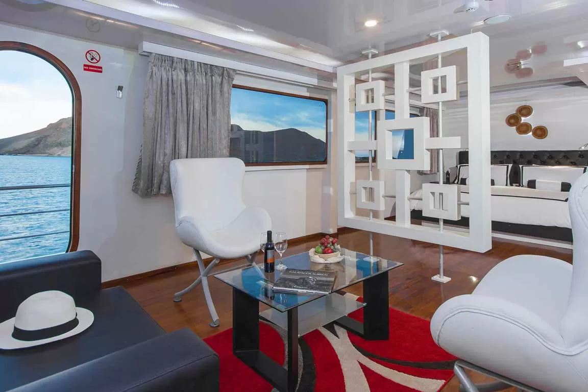 suite1 Petrel Catamaran
