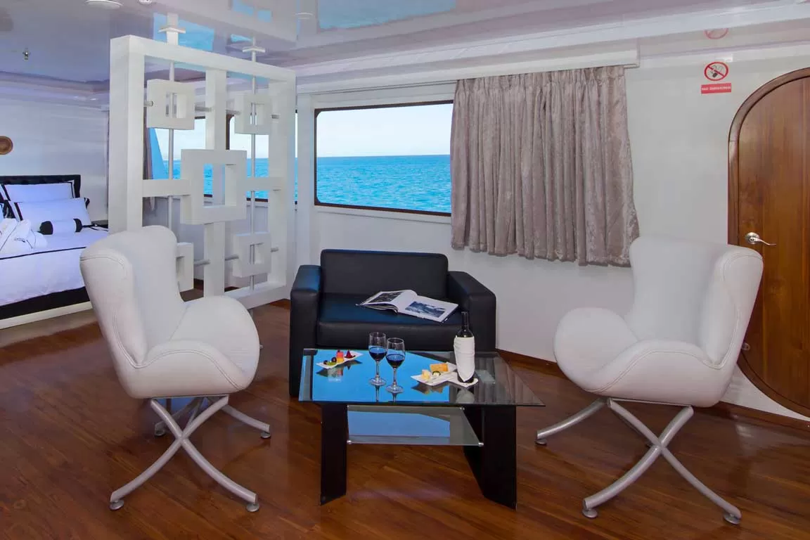 suite3 Petrel Catamaran