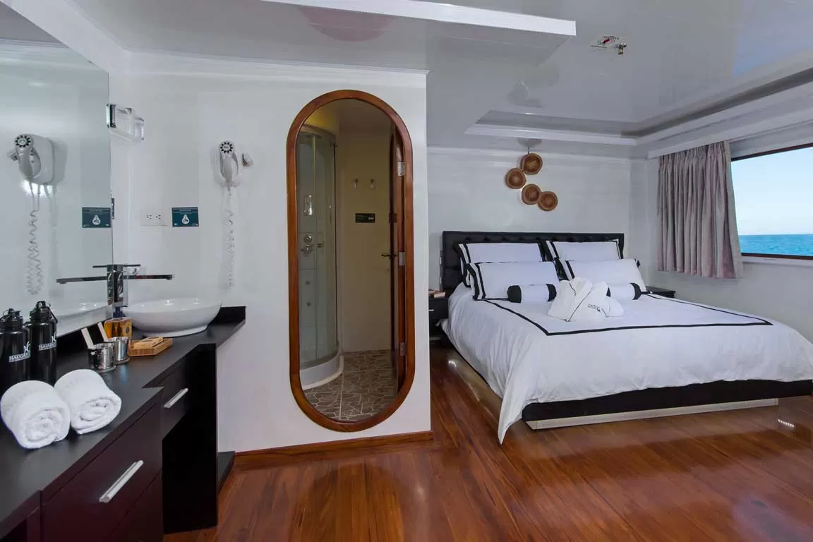 suite4 Petrel Catamaran